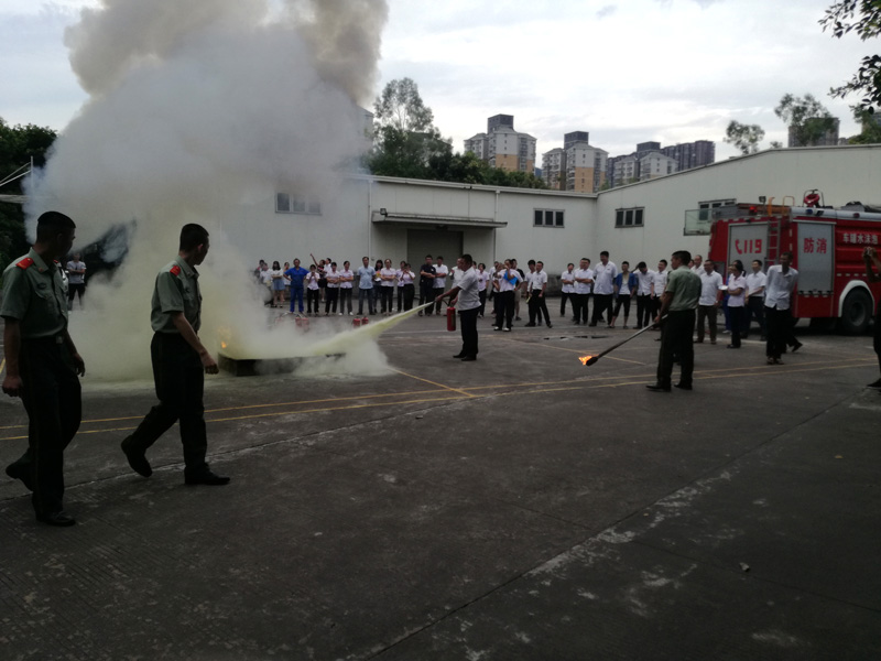 IMG_20170627_172429.jpg IMG_20170627_172429.jpg